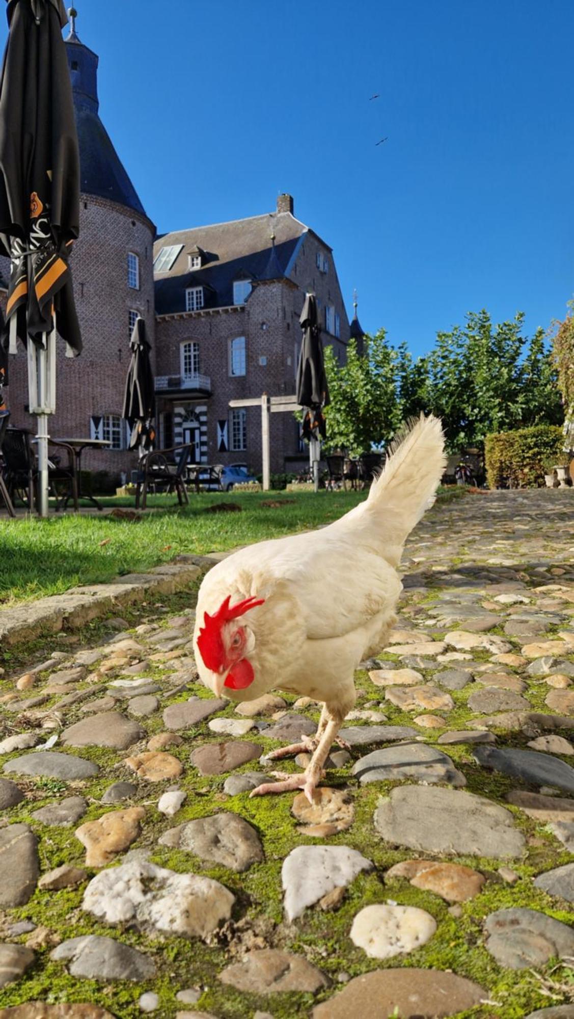 Kasteel Aldenghoor Bed & Breakfast Haelen Bagian luar foto