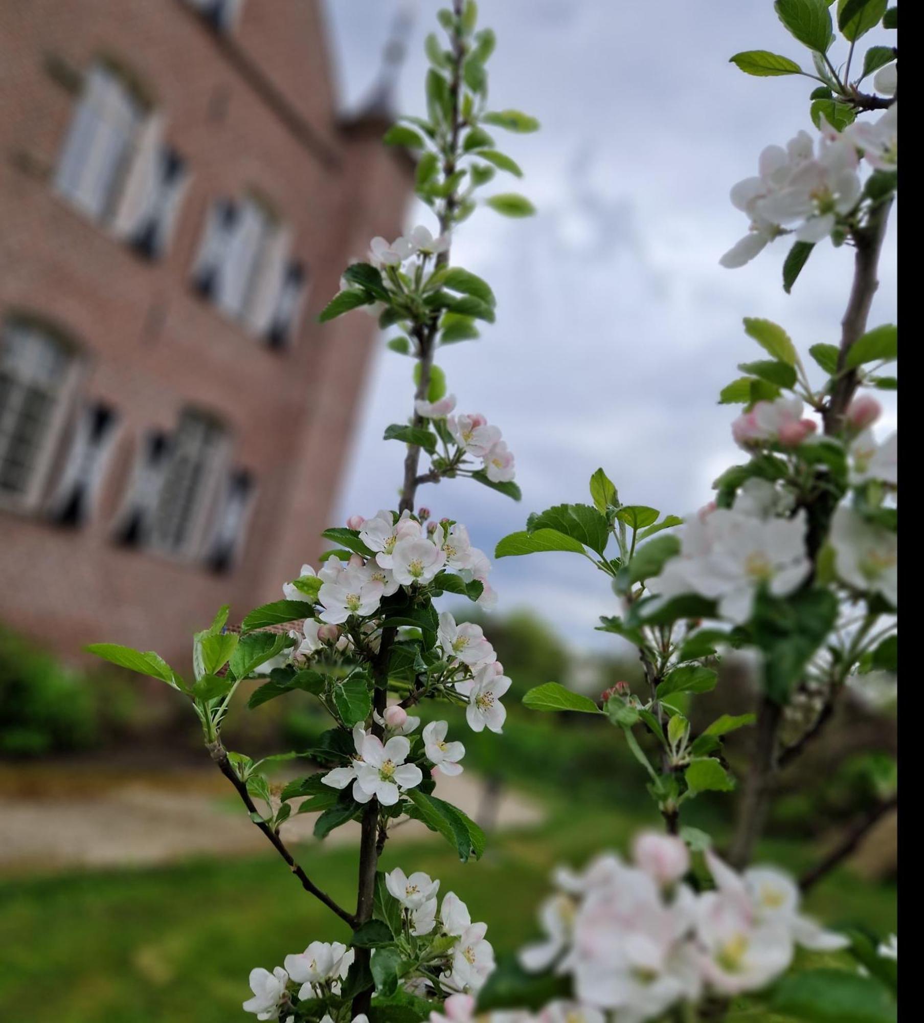 Kasteel Aldenghoor Bed & Breakfast Haelen Bagian luar foto