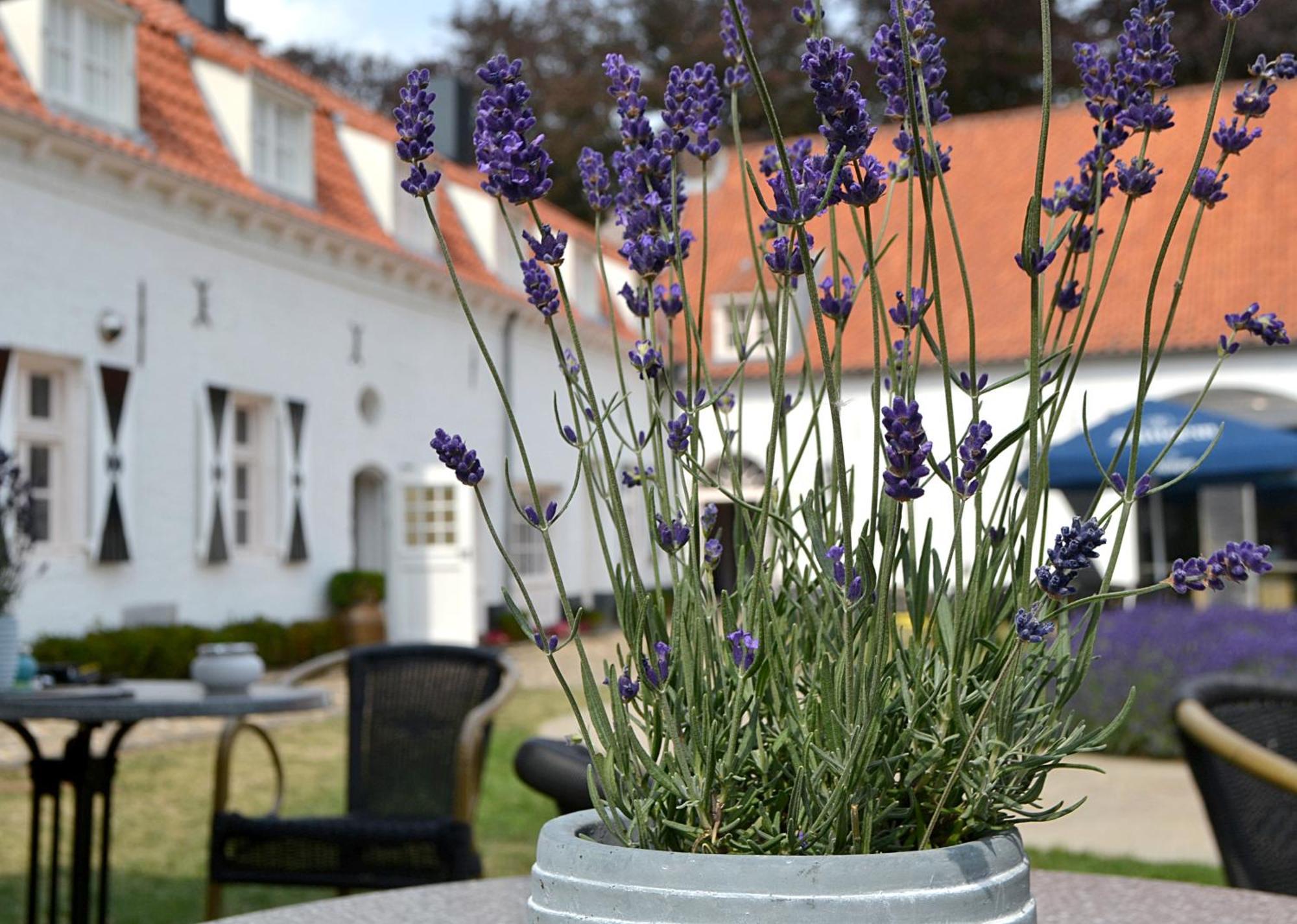 Kasteel Aldenghoor Bed & Breakfast Haelen Bagian luar foto